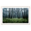 Eerie Trees IV Print by Jakob Wagner-48617438-48617440