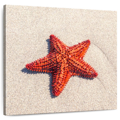 Coussin Aletra