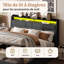 Upholstered Ottoman Storage Bed-594527434-594527435