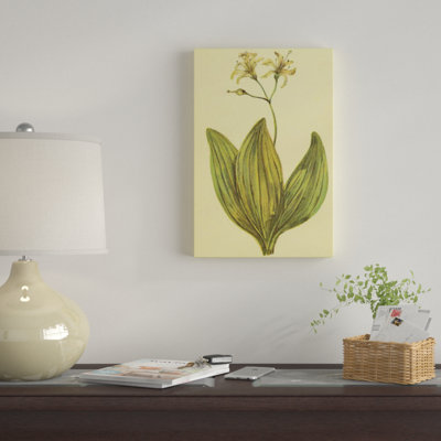 « clintonia », reproduction sur toile