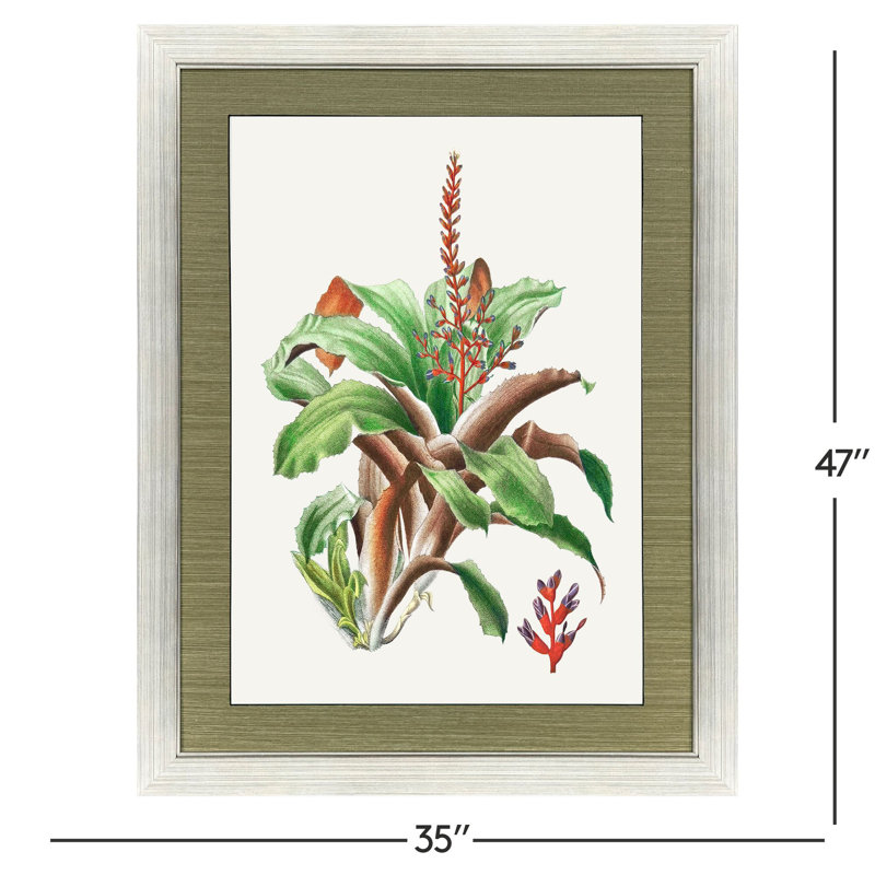 Cactus, art floral encadré