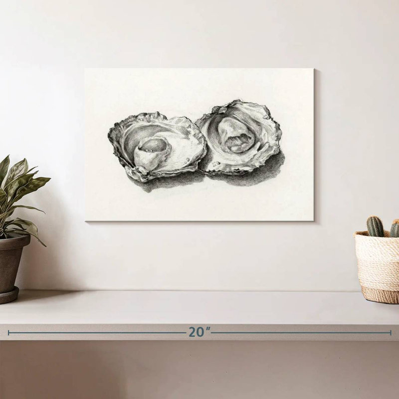 Two Opened Oysters, 8" H x 12" W