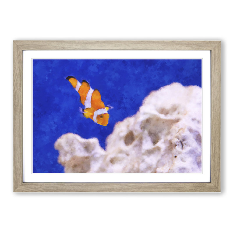 Clownfish Vol.2 - Picture Frame Graphic Art, Oak Framed, 36cm H x 48cm W x 2cm D