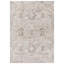 Oriental Area Rug in Taupe/Gray Blue-2095266977