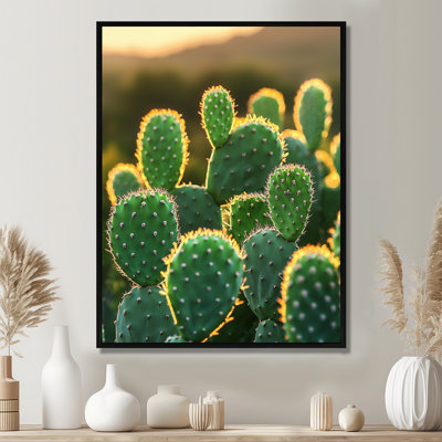 Marjona cactus dans la lumière du matin II - Cactus, art mural