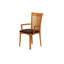 Sarah Upholstered Arm Chair-20804144-20804152