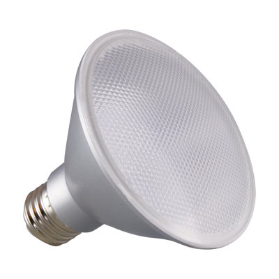 12.5 Watt LED Bulb