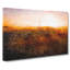 Sunlight over San Francisco - Wrapped Canvas-56645616