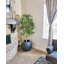 Ronte 120cm Faux Tree