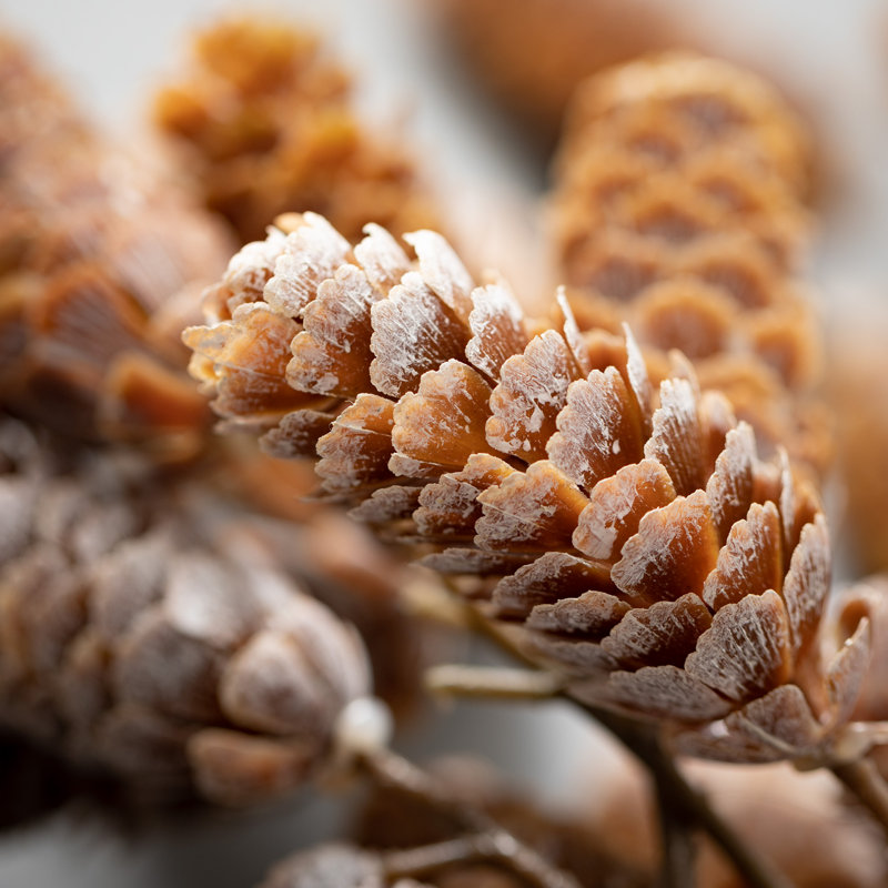 Hanging Pinecone Sprays