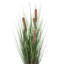 Herbe droite artificielle et quenouilles-22996683