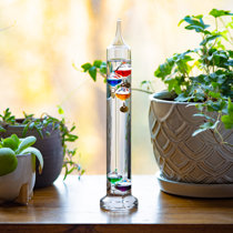 https://assets.wfcdn.com/im/02022045/resize-h210-w210%5Ecompr-r85/2617/261759750/11%22+Glass+Galileo+Thermometer.jpg