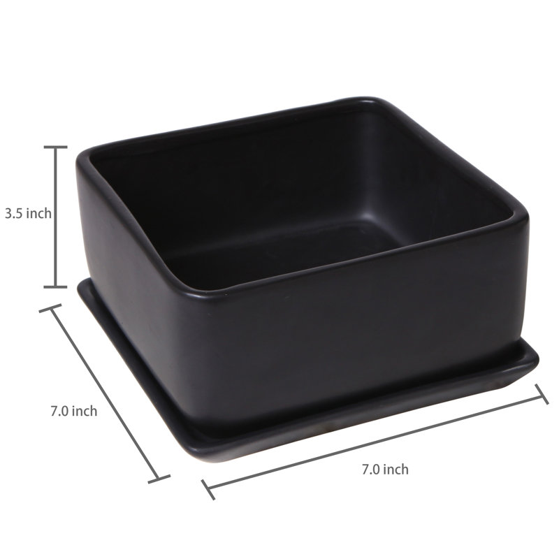 Hens Indoor Square Ceramic Pot Planter, Black