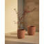Pot Planter-541836439