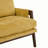 18.9'' H Velvet Upholstered Armchair-155679155