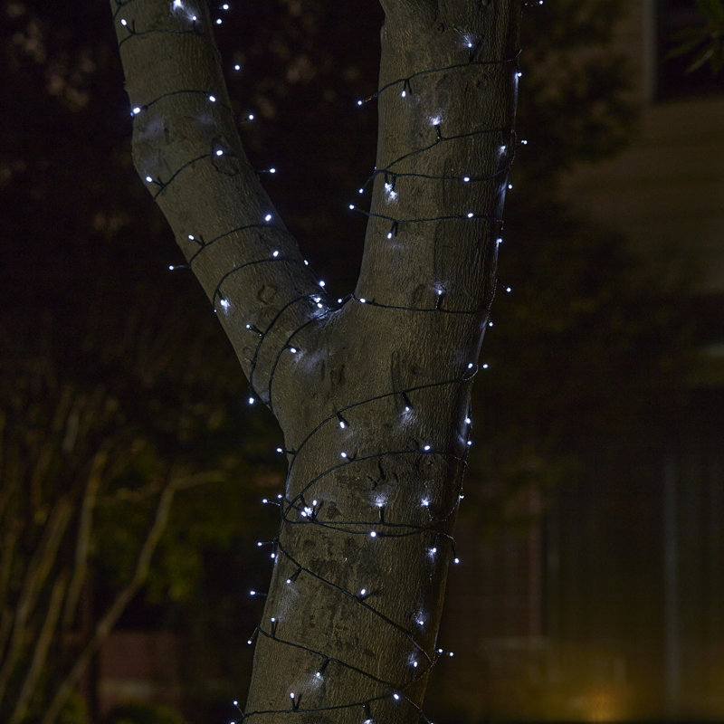 Messancy 22'L Solar String Light With 50 LEDs