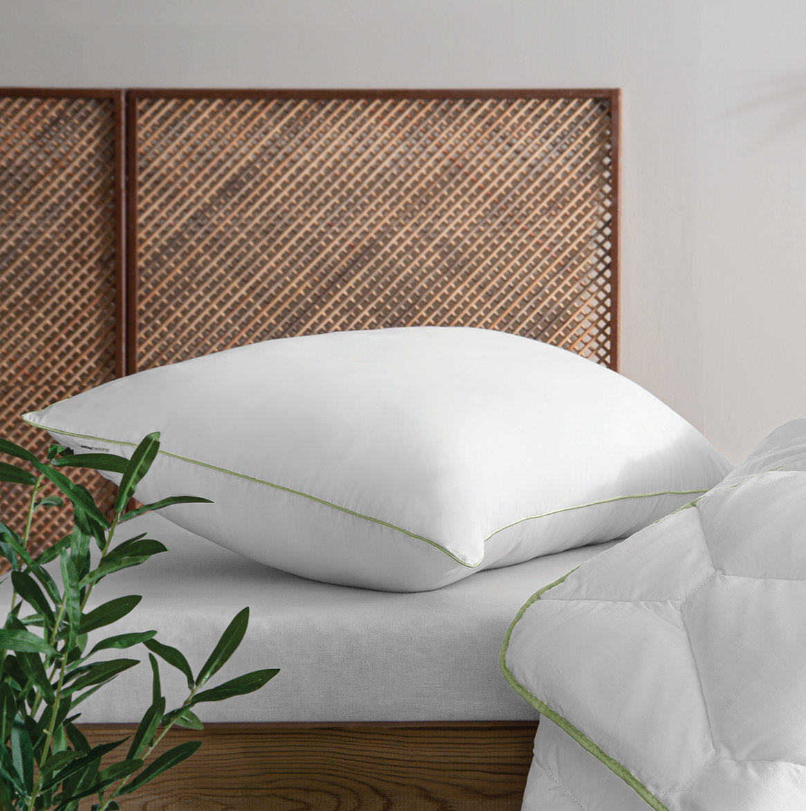 Pegasus home shop fashions bamboo pillow