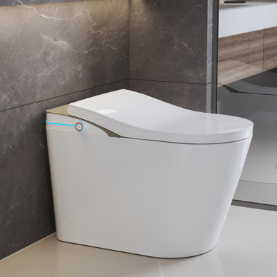 MEDUNJESS Smart Toilet With Auto Lid, Heated Seat, Instant Warm Water, Wireless Remote, Night Light & Multiple Wash Modes