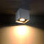 Flush Mount-63573849
