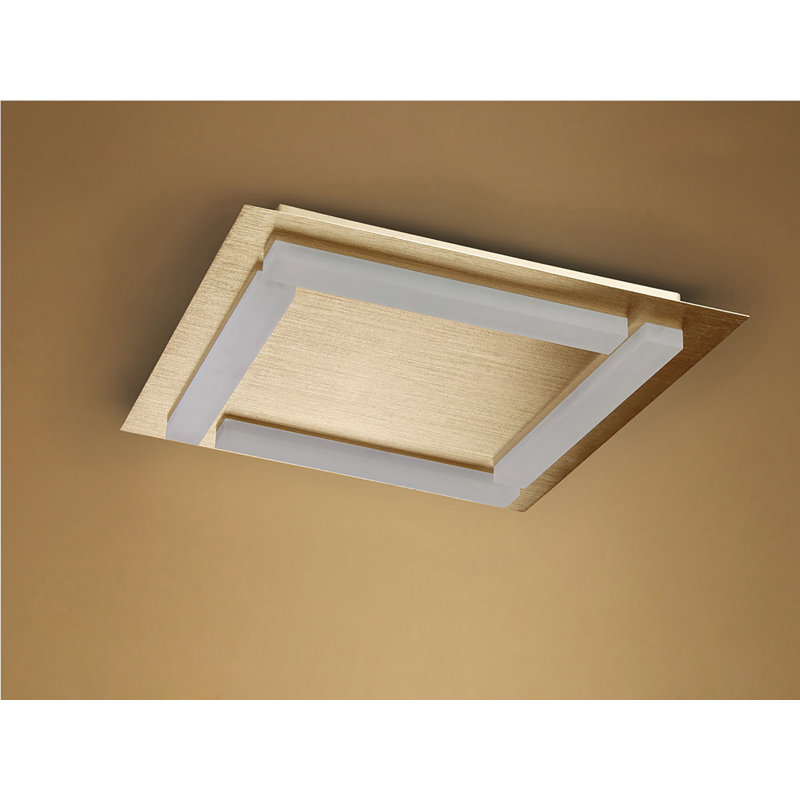 Phinnaeus Acrylic LED Flush Mount, Satin Gold
