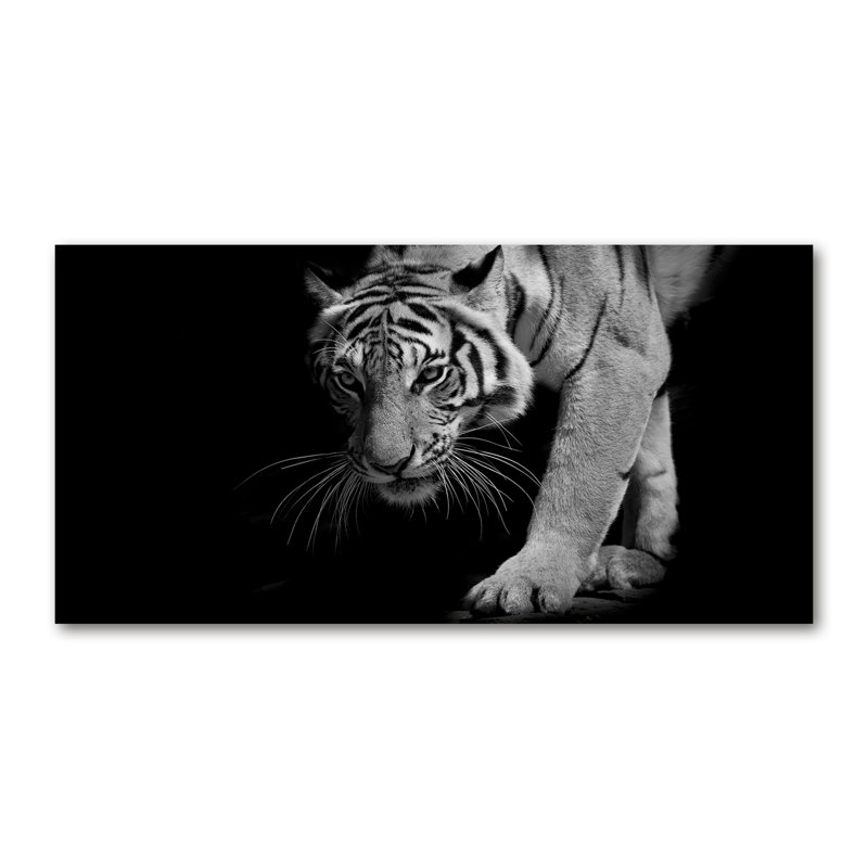 Tiger - Wrapped Canvas Print
