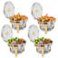 Ensemble de 4 réchauds plats de préparation pour buffet de 4 pièces