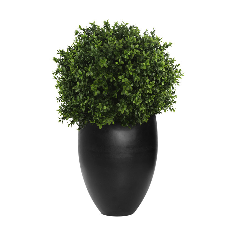 Seville Faux Boxwood Topiary in Fiberstone Planter, Black
