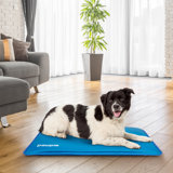 Pet Bed