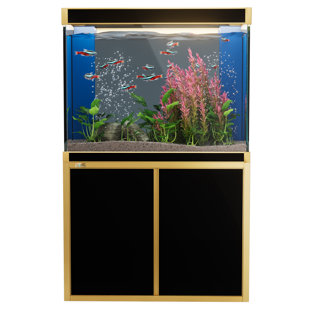Rectangle Aquarium Tank (Set of 2)