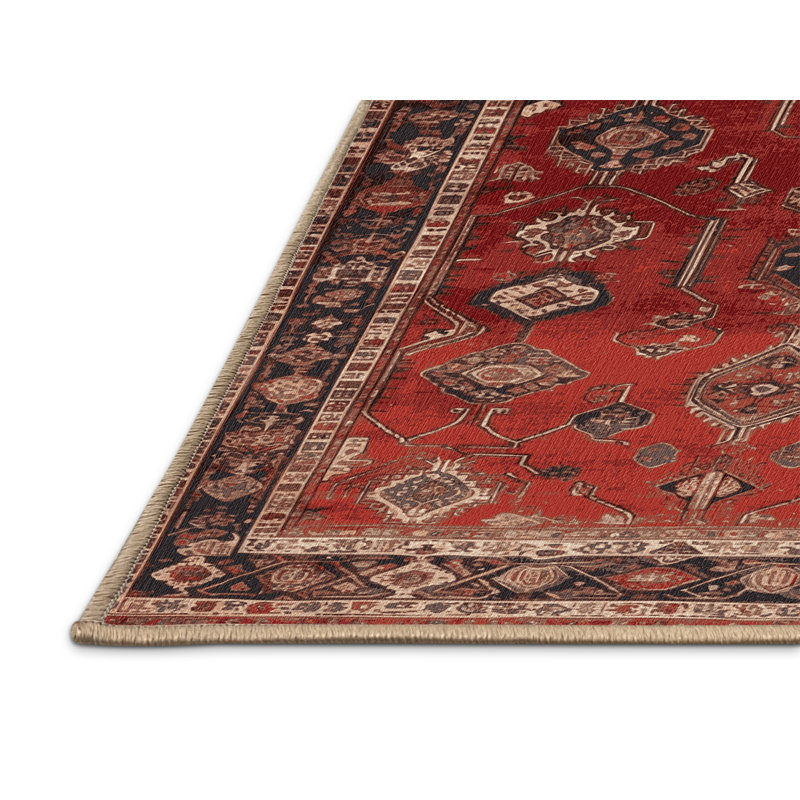 Tapis brun lavable à la machine, Rectangulaire 2 pi x 3 pi