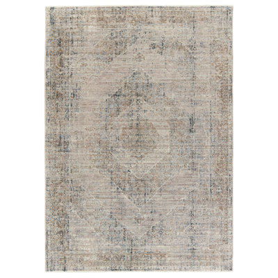 Davyion Oriental Indoor Rug