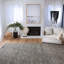 Karma Area Rug in Charcoal-787017065