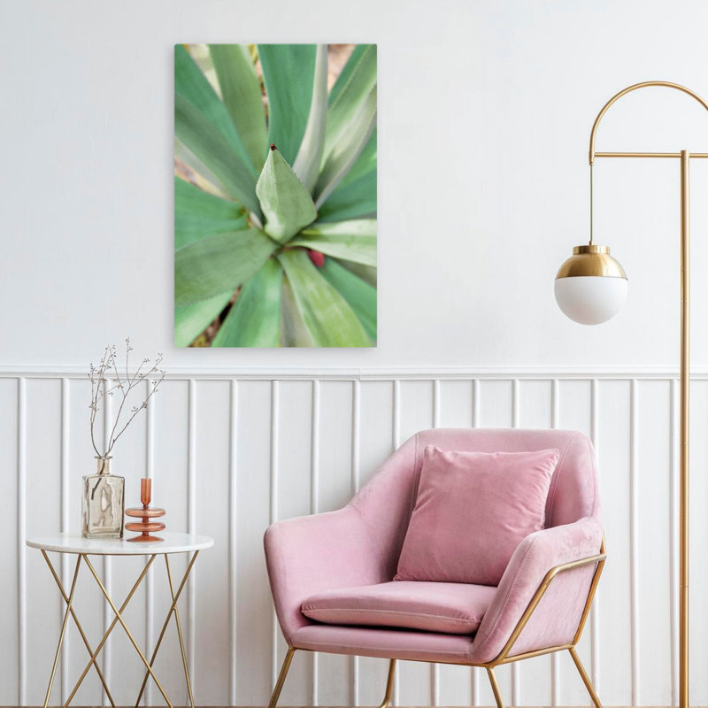 Agave succulent # 2 - art floral et nature morte, feuilles, art, H 24 po x l 16 po