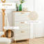 12 Pair Shoe Storage Cabinet