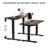 55"×24" Black&Rustic Brown Electric Standing Desk Height Adjustable Desk For Home And Office Computer Table Gaming Desk Modern  Lift-Up Desk-116922962-116922959