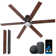 ONE Smart All Seasons 60" Ceiling Fan with Light, Quiet, Alexa/Google, 3 Color LED Lights, Reversible and Light Kit included