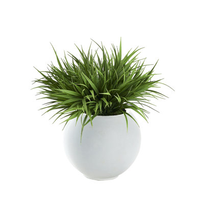 Grass in White Porter Planter