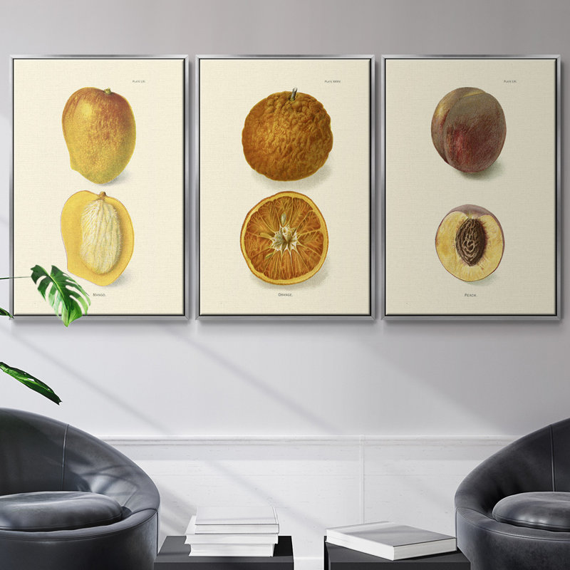 Mango - ensemble de 3 reproductions sur toile, Argent, H 40 po x l 78 po x P 2 po
