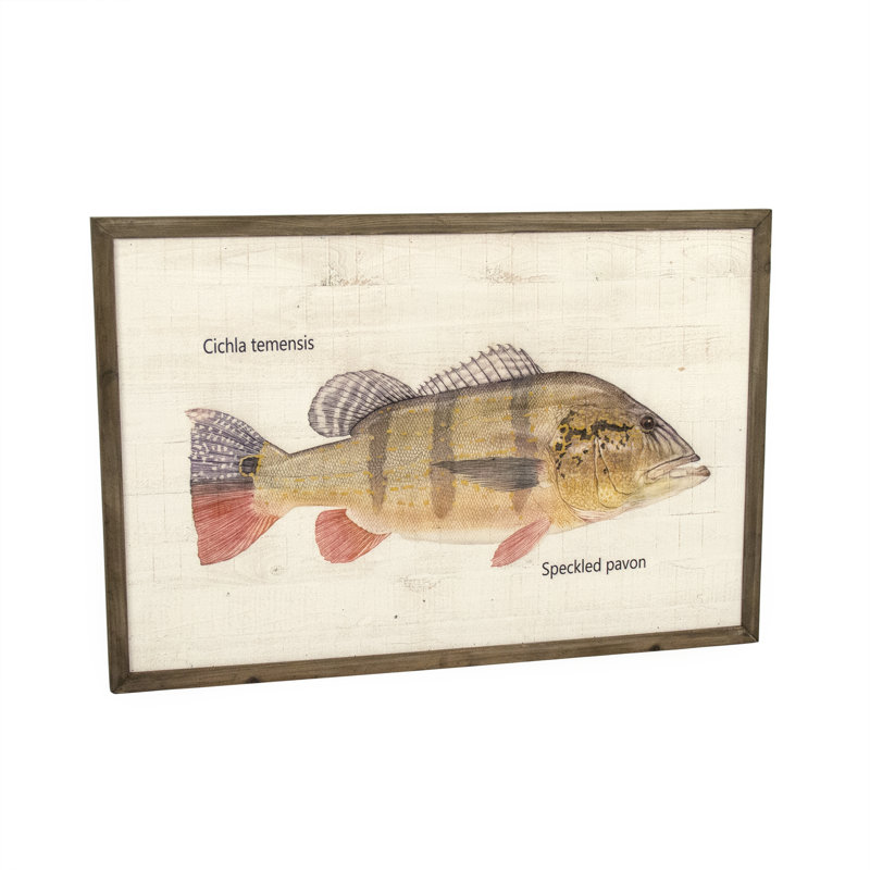 Speckled Pavon Print, 31.5" H x 47.5" W x 1.5" D