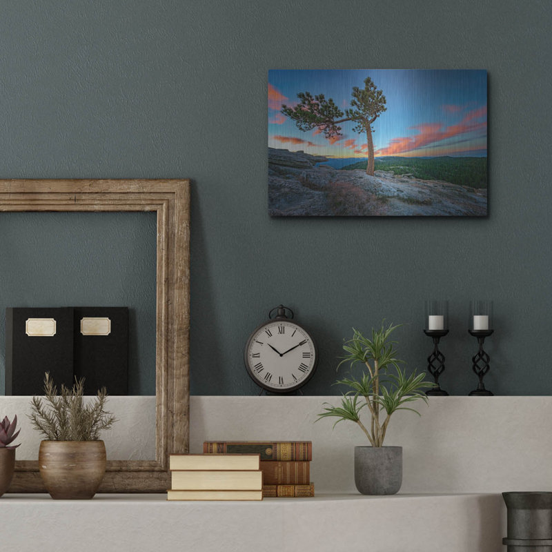 Mur en métal Ebern Designs «Sentinel Dawn» par Rick Berk, H 12 po x l 16 po