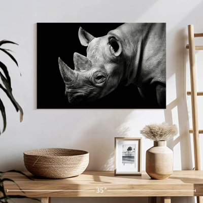 Rhino ronce en monochrome