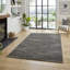Atward area rug Machine Woven Rectangle Charcoal-1872923948