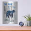 «The Blue Bear» par Lightbox Journal-33706343