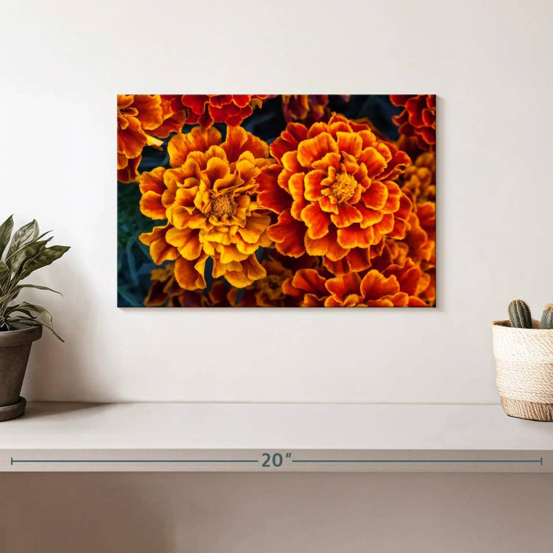 Harnek Marigold Flowers, 8" H x 12" W