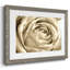 Fleur murale neutre IV-109224448-109224452