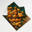 Tapisserie murale Fruit Cocona-133648418