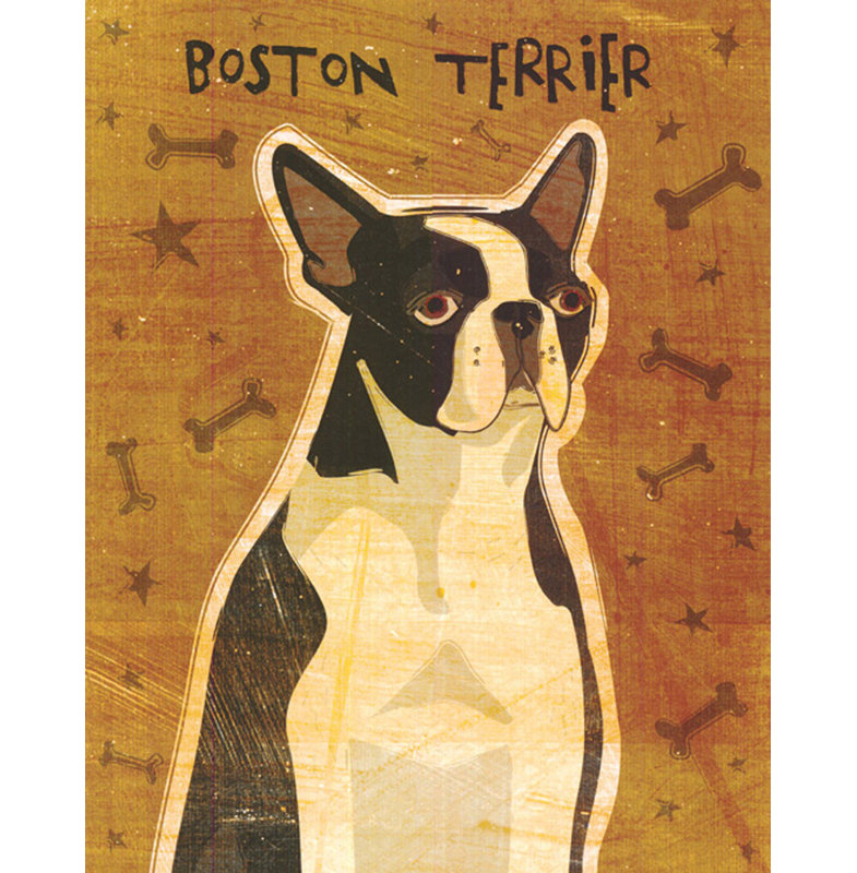 Boston Terrier MCG-G979PF, H 18 po x l 14 po