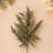 Fresh Touch Pine Spray