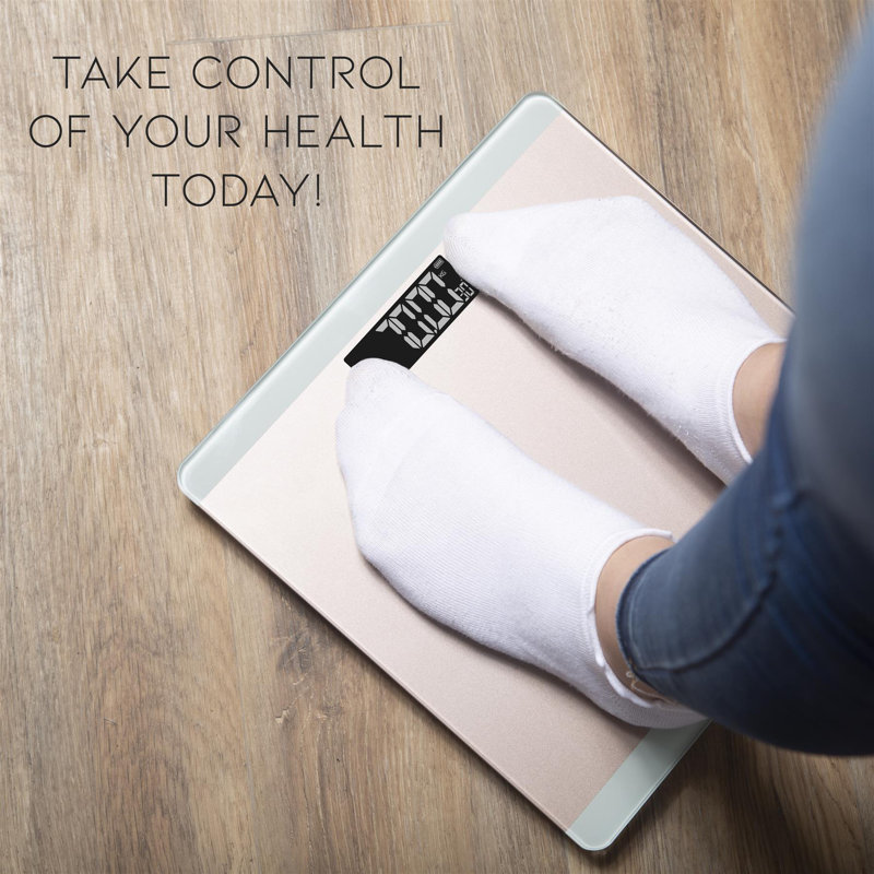 Symple Stuff Ajacia Digital Glass Bathroom Scale