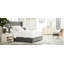 Fauteuil Domenic-1824633025